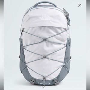 The Northface Borealis backpack
